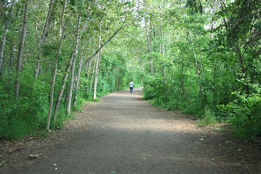 Image from Buena Vista Whitemud Hike