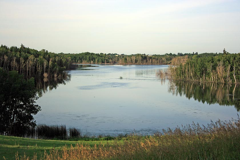 Image from the Elizabeth Lake Lacombe AB hike