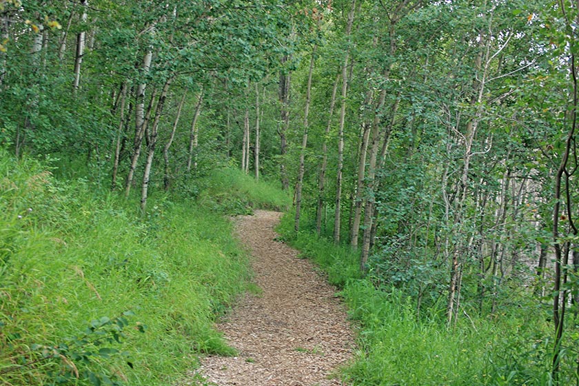 Image from the Elizabeth Lake Lacombe AB hike