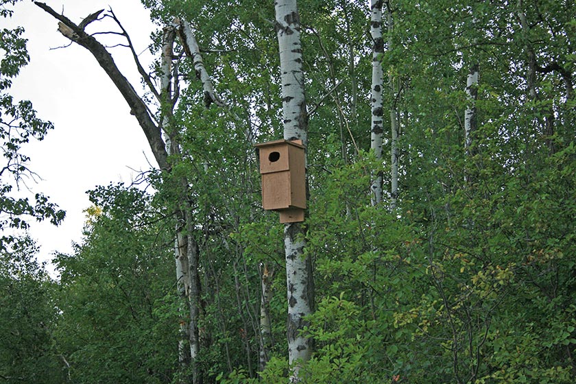 Image from the Elizabeth Lake Lacombe AB hike