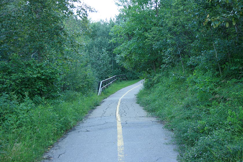 Image from The Government House MacKinnon Ravine Hike