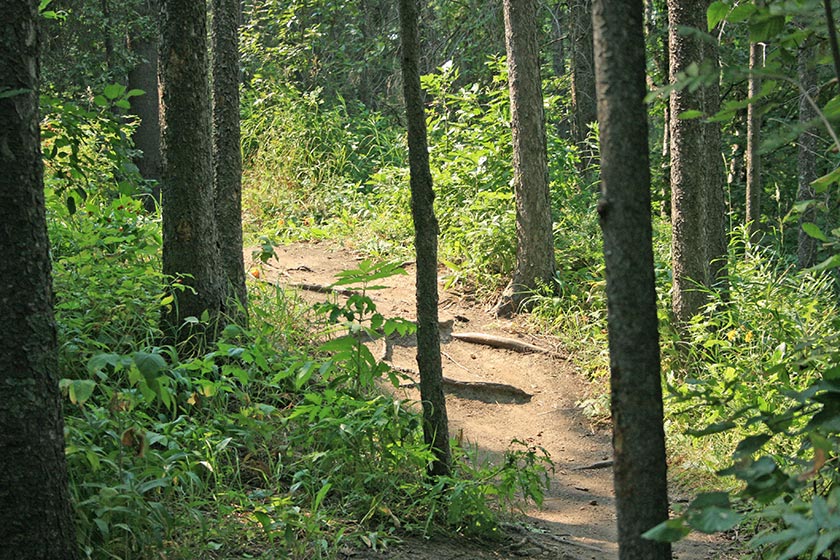 Image from The PipeDream Trail Hike